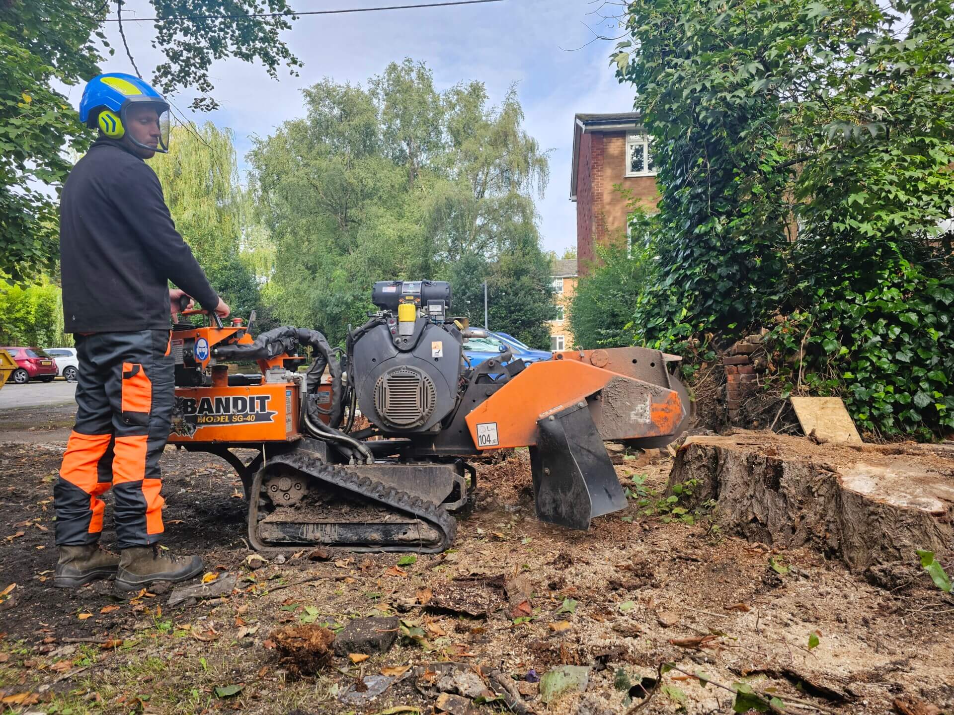 Stump Grinding Manchester & Stockport | Woodfelder Tree Care