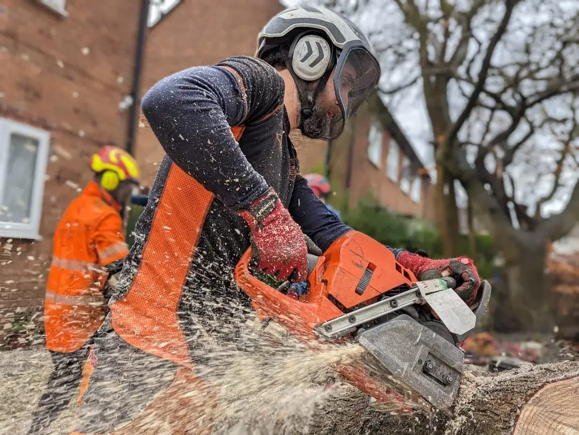 Tree Felling Service Manchester Tree Felling & Removal: Reliable & Fully Insured