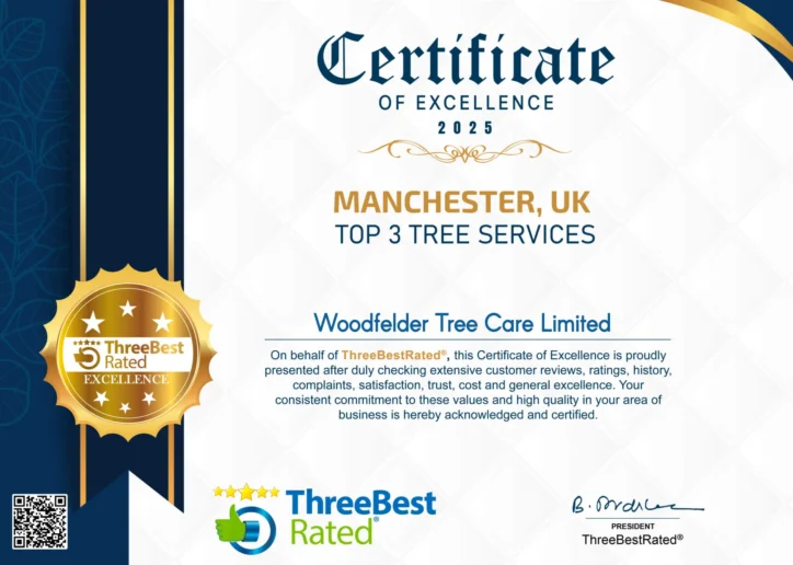 Cerificate of excellence - Three Best Rated