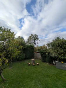 Low Ash tree stem left as table base with four timber rings as stools on a tidy garden lawn.