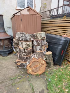 Neatly stacked Birch tree stem sections left on-site for client use after removal.