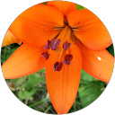 Stella Hopcyn Avatar